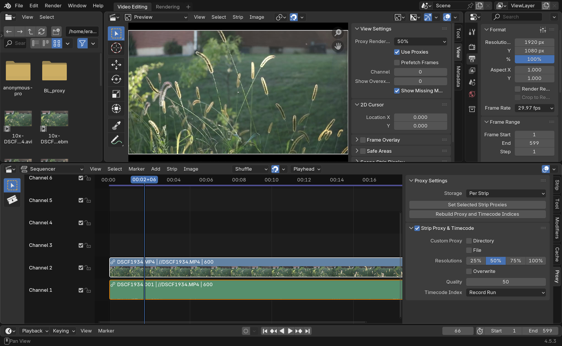 Blender Video Editor
